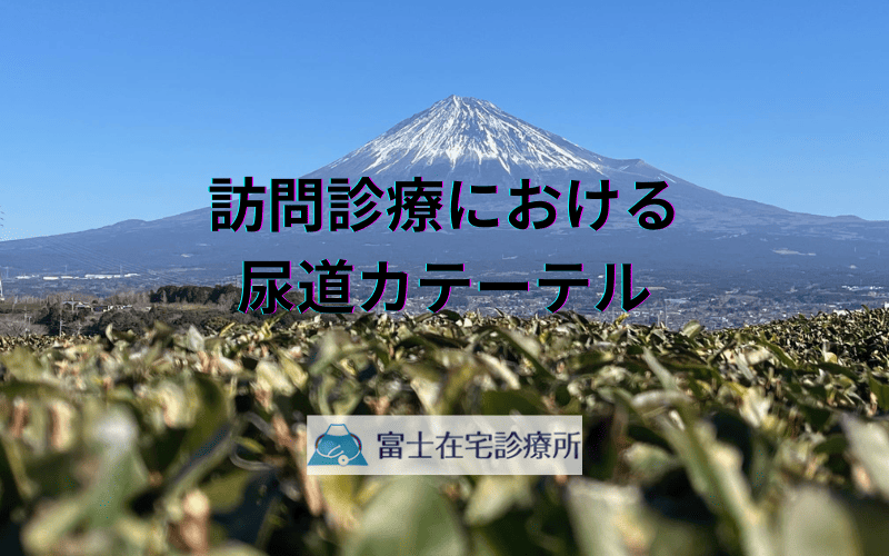 訪問診療における尿道カテーテル - 安全管理と緊急時の対応