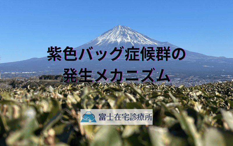 尿路感染症と便秘の意外な関係 - 紫色バッグ症候群の発生メカニズム