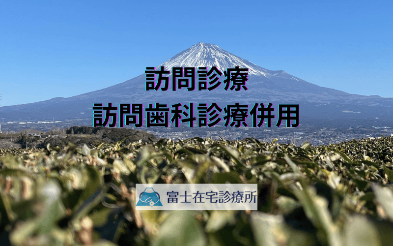 訪問診療・訪問歯科診療併用 - 高齢者医療の新しいアプローチ