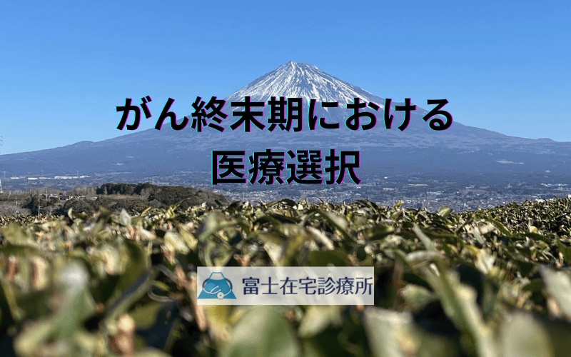 がん終末期における医療選択 - 在宅緩和ケアと病棟治療の比較