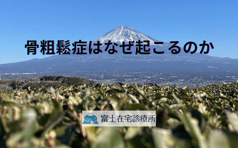 骨粗鬆症はなぜ起こるのか - 加齢・生活習慣・遺伝の影響を徹底解説