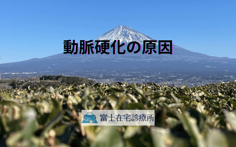 動脈硬化の原因を詳しく解説 - 高血圧・糖尿病・脂質異常症との関係