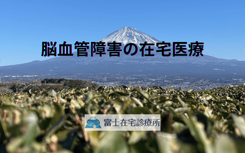 脳血管障害の在宅医療 - ご家族も安心の訪問診療体制