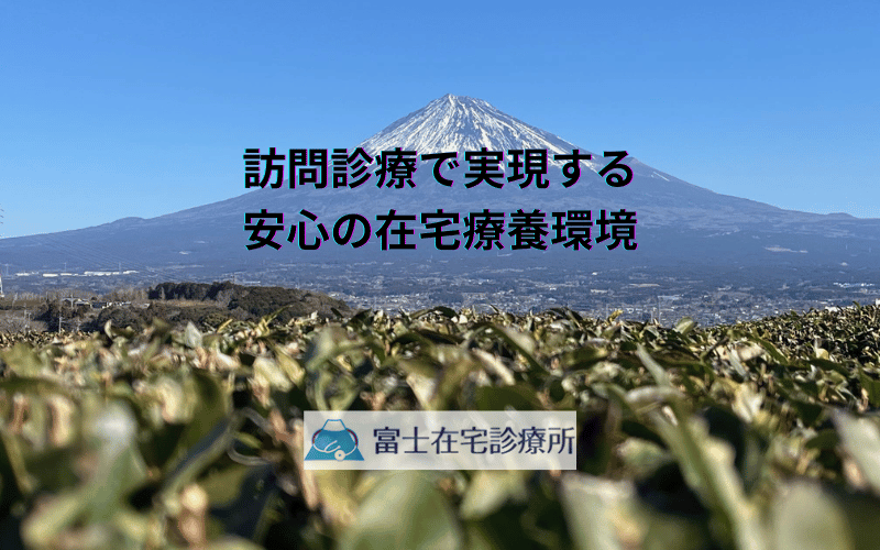 訪問診療で実現する安心の在宅療養環境 - 病院連携から家族サポートまで包括的に解説