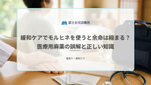 自宅の寝室で服薬の説明を受ける高齢の療養者と家族を示す、在宅の緩和ケアと医療用麻薬の医療イメージ